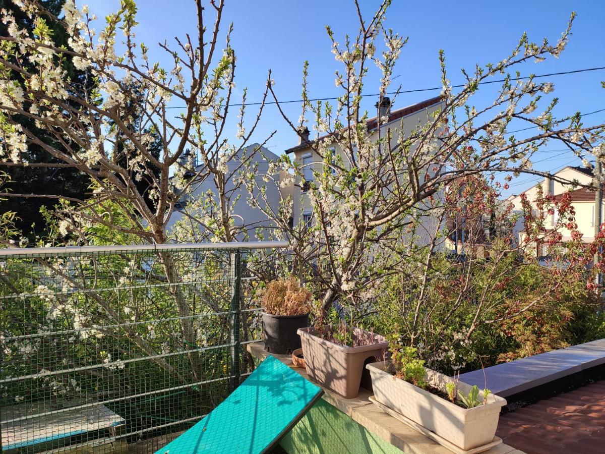 Calme Et Ensoleille Dans Maison De
